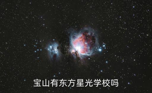 寶山有東方星光學校嗎