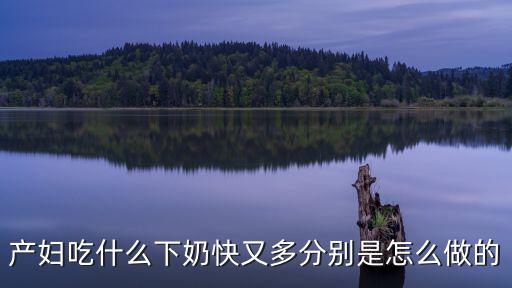 產婦吃什么下奶快又多分別是怎么做的