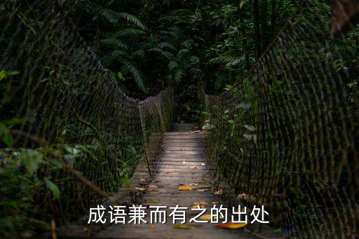 兼而有之的意思,兼而有之與有無之分!