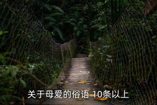 關(guān)于母愛的俗語 10條以上