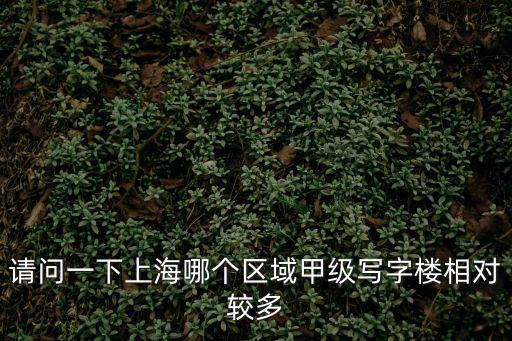 請(qǐng)問(wèn)一下上海哪個(gè)區(qū)域甲級(jí)寫(xiě)字樓相對(duì)較多