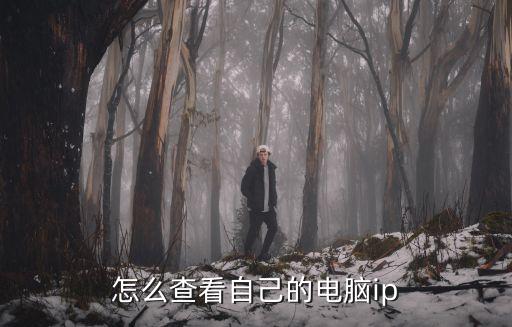 怎么查看自己的電腦ip