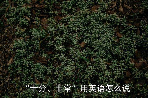 “十分、非常”用英語怎么說