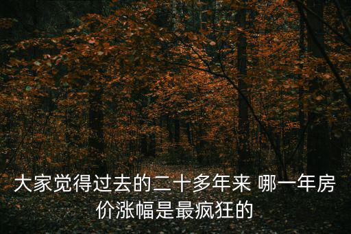 大家覺得過去的二十多年來 哪一年房價漲幅是最瘋狂的