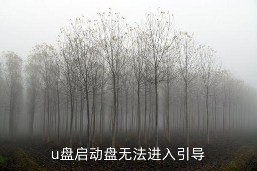 u盤引導(dǎo),電腦無法進(jìn)入u盤引導(dǎo)如何進(jìn)行?
