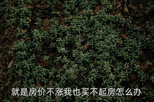 房價不漲如何投資房產，就是房價不漲我也買不起房怎么辦