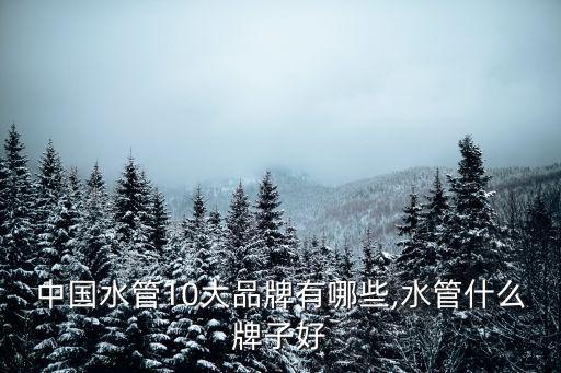 中國(guó)水管10大品牌有哪些,水管什么牌子好