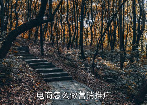 電商怎么做營銷推廣