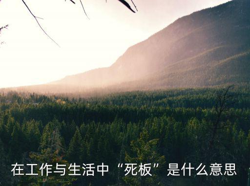 死板是什么意思,死板的人有何優(yōu)缺點(diǎn)?