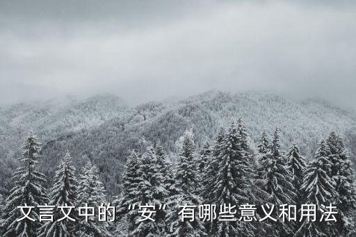 安的文言文意思,古文安字從何而來?