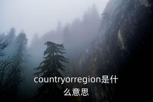 countryorregion是什么意思