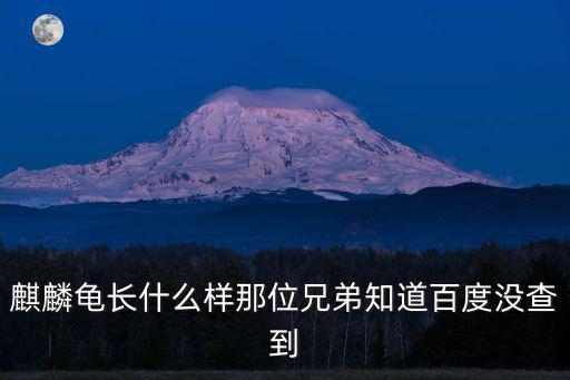 麒麟龜長什么樣那位兄弟知道百度沒查到