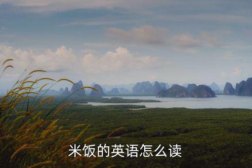 米飯的英語怎么讀
