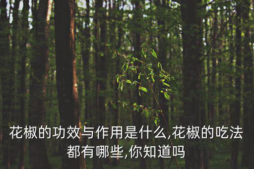 花椒的功效與作用是什么,花椒的吃法都有哪些,你知道嗎