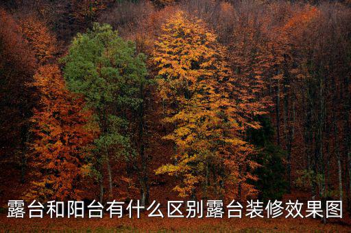 露臺和陽臺有什么區別露臺裝修效果圖
