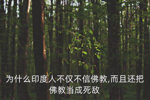 印度教和佛教,不要羨慕藏傳佛教也別羨慕印度佛教