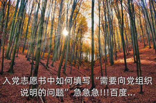 入黨志愿書中如何填寫“需要向黨組織說明的問題”急急急!!!百度...