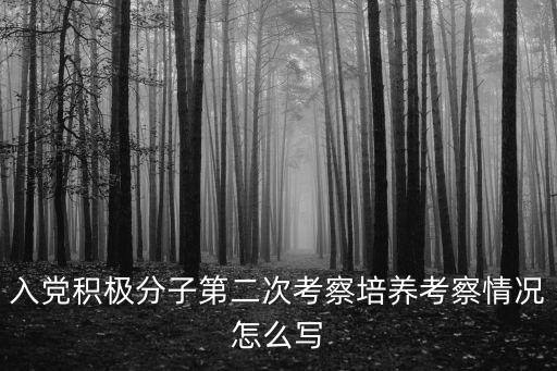 入黨積極分子第二次考察培養(yǎng)考察情況怎么寫(xiě)