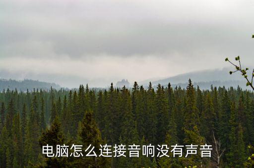 電腦怎么連接音響沒有聲音