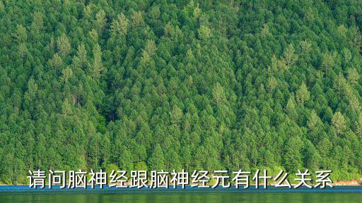 請問腦神經跟腦神經元有什么關系