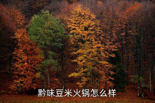 黔味豆米火鍋怎么樣