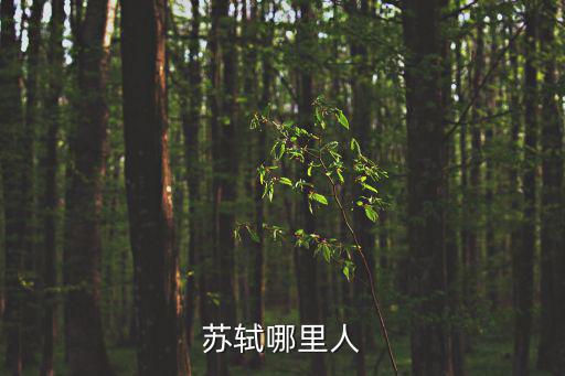 蘇軾哪里人