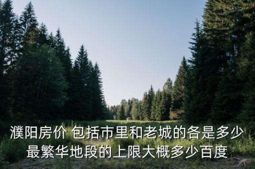 濮陽房價 包括市里和老城的各是多少最繁華地段的上限大概多少百度
