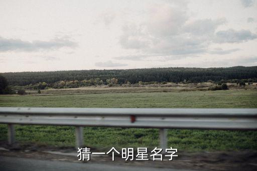打一明星，打一個明星名