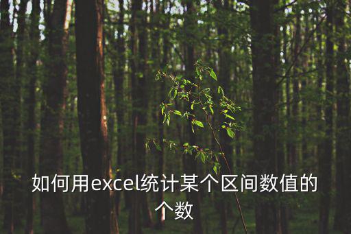 如何用excel統(tǒng)計某個區(qū)間數(shù)值的個數(shù)