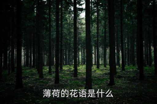 薄荷的花語是什么
