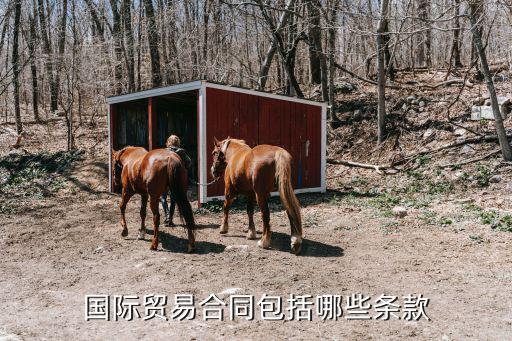 貿易合同,國際貿易合同有哪些?