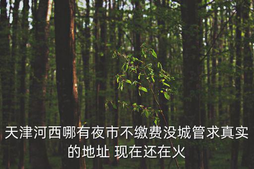 天津河西哪有夜市不繳費沒城管求真實的地址 現在還在火