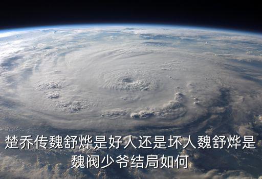 楚喬傳魏舒燁是好人還是壞人魏舒燁是魏閥少爺結局如何