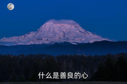 什么是善良的心