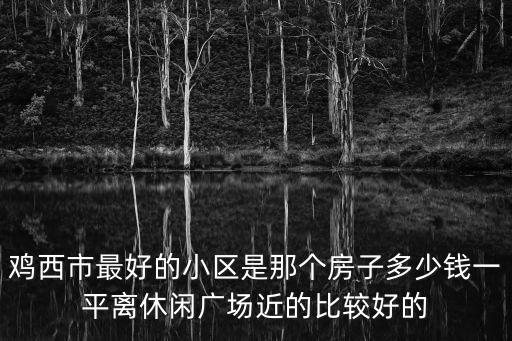 雞西市最好的小區是那個房子多少錢一平離休閑廣場近的比較好的