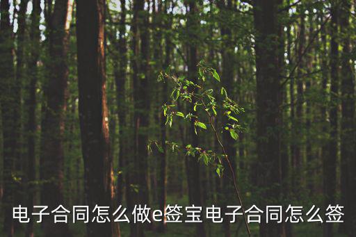 電子合同怎么做e簽寶電子合同怎么簽