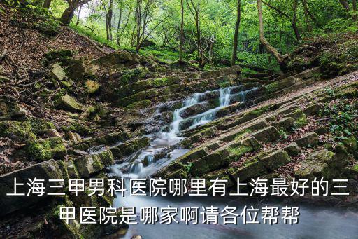上海三甲男科醫院哪里有上海最好的三甲醫院是哪家啊請各位幫幫