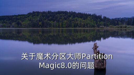 關于魔術分區(qū)大師PartitionMagic8.0的問題