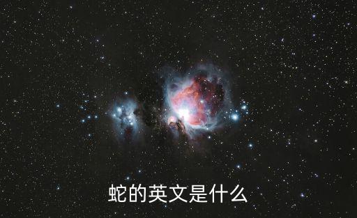 蛇的英文是什么