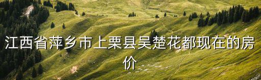 江西省萍鄉市上栗縣吳楚花都現在的房價