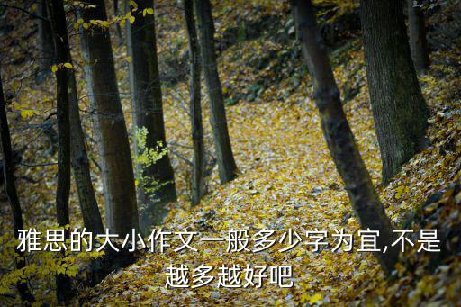 雅思的大小作文一般多少字為宜,不是越多越好吧