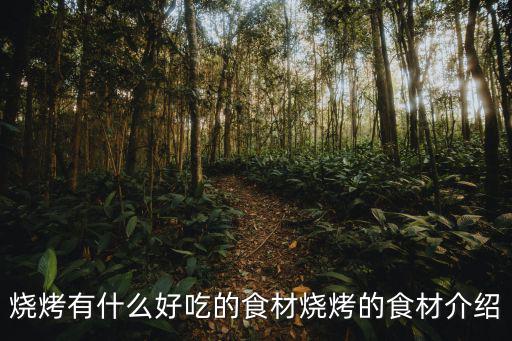 燒烤食物,吃燒烤注意事項(xiàng):食材不要在外面放太久