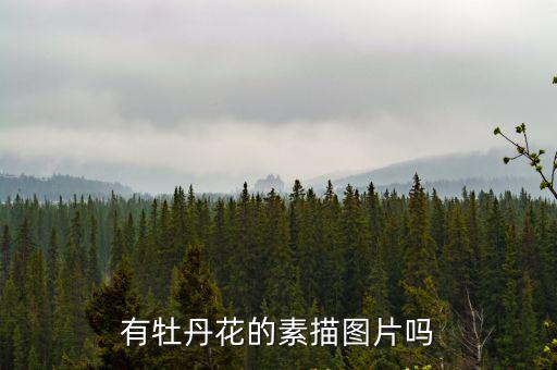 有牡丹花的素描圖片嗎