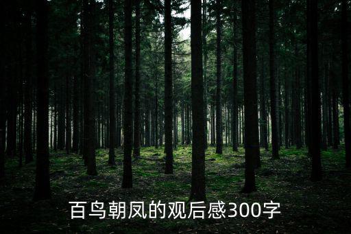 百鳥朝鳳的觀后感300字