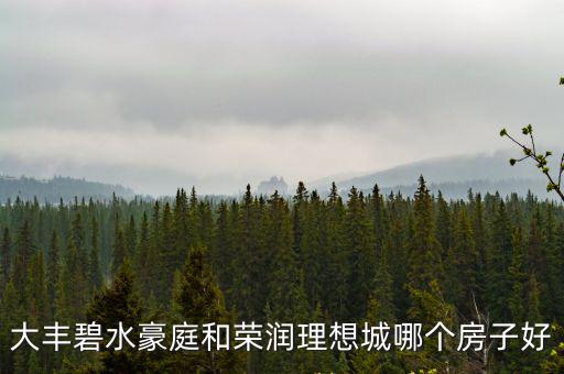 大豐碧水豪庭和榮潤(rùn)理想城哪個(gè)房子好