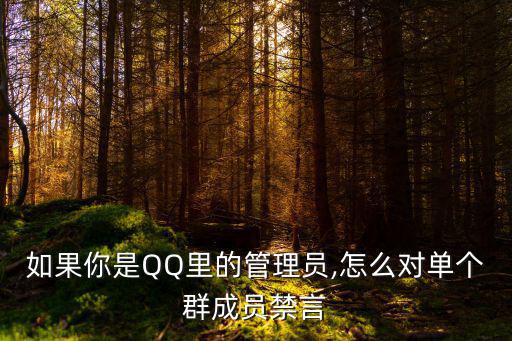 管理員怎么禁言,怎么解封和解言!