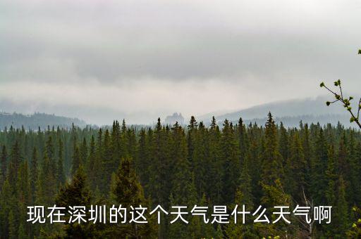 現(xiàn)在深圳的這個天氣是什么天氣啊