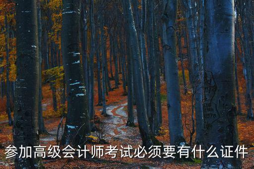 參加高級會計師考試必須要有什么證件