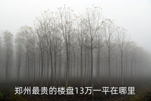 鄭州最貴的樓盤13萬(wàn)一平在哪里