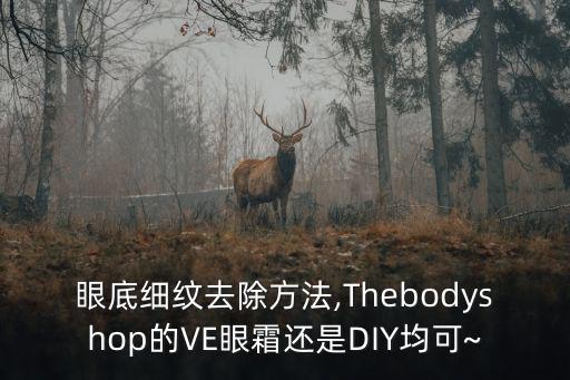 ve眼霜,你適合用什么眼霜?